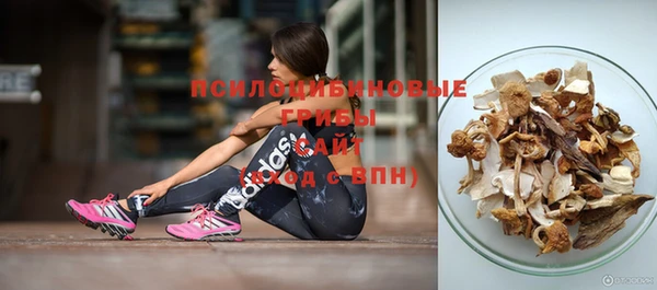 крисы Армянск