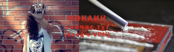 метадон Арсеньев