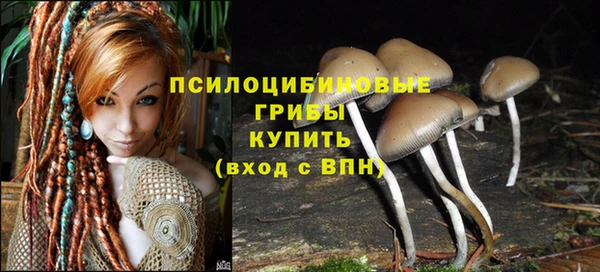 крисы Армянск