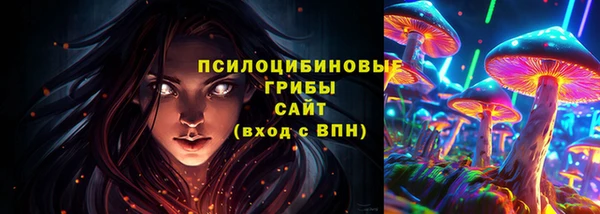 крисы Армянск