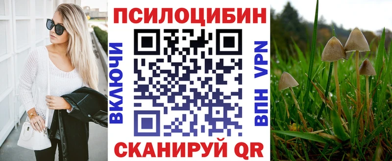 Псилоцибиновые грибы Psilocybine cubensis  Тайшет 